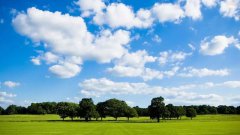 东莞常平废气治理处理解决方案